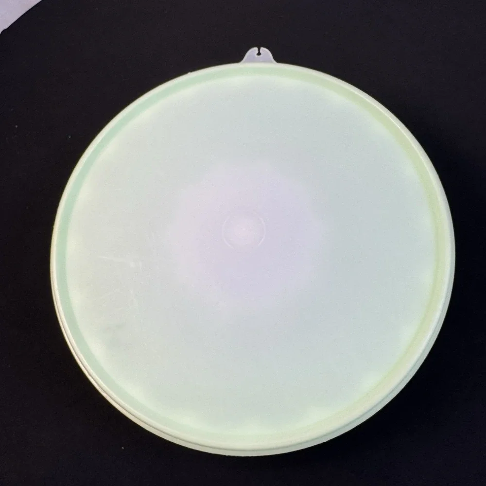 Vintage Tupperware Mint Green Jello Mold‎  1202